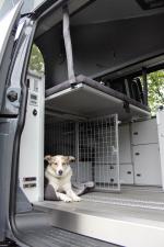 Volkswagen Dogscamper 2017 года